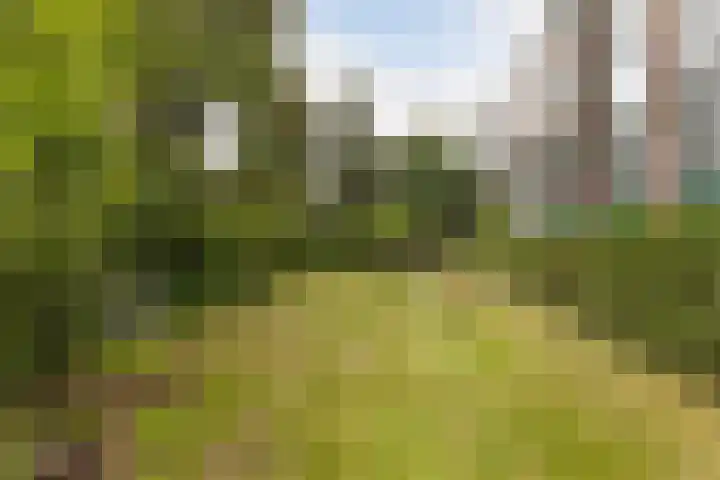 Jadelaan 52 Utrecht thumbnail 41