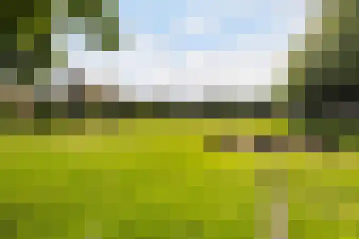 Jadelaan 52 Utrecht thumbnail 42