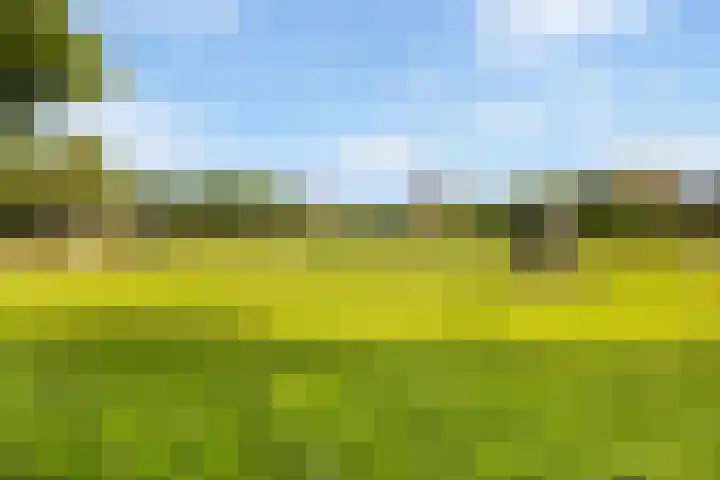 Jadelaan 52 Utrecht thumbnail 43