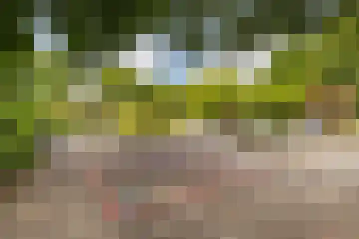 Jadelaan 52 Utrecht thumbnail 44