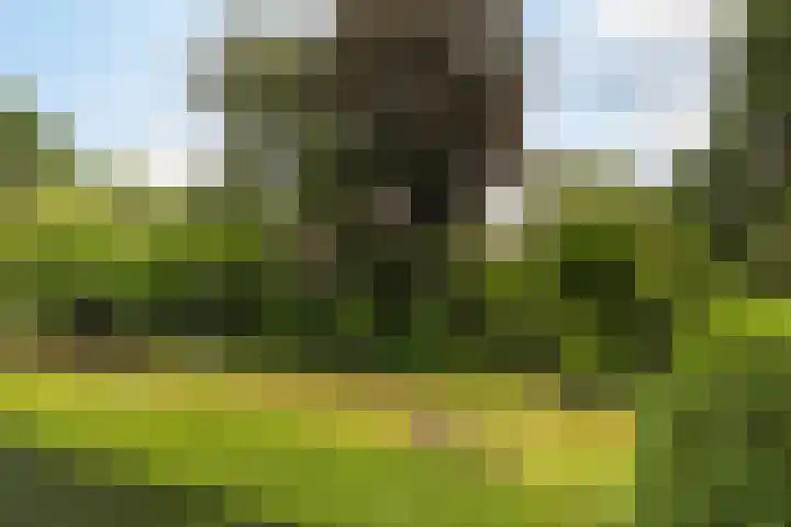 Jadelaan 52 Utrecht thumbnail 45