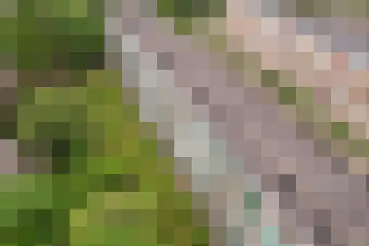 Jadelaan 52 Utrecht thumbnail 47