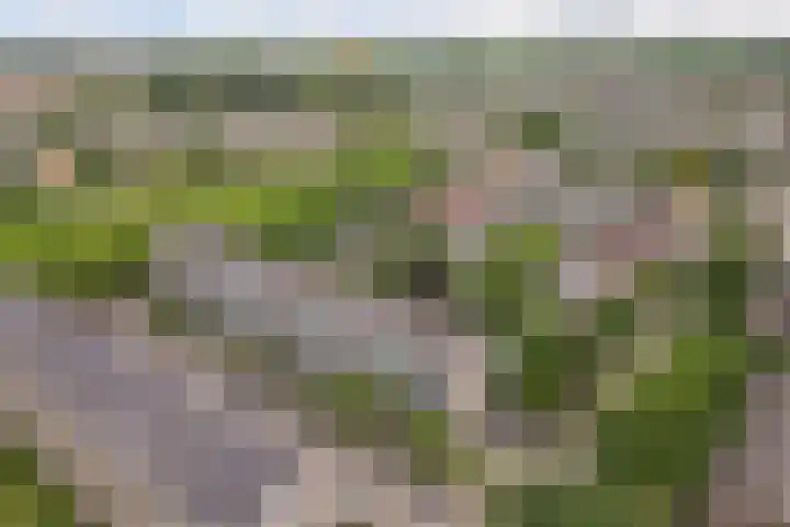 Jadelaan 52 Utrecht thumbnail 48