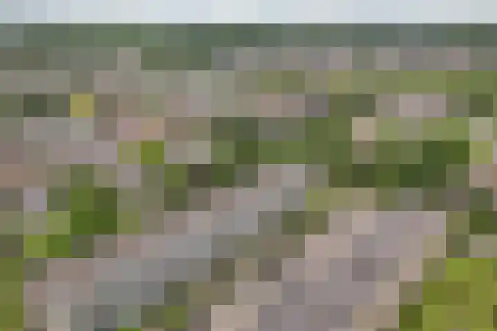Jadelaan 52 Utrecht thumbnail 49