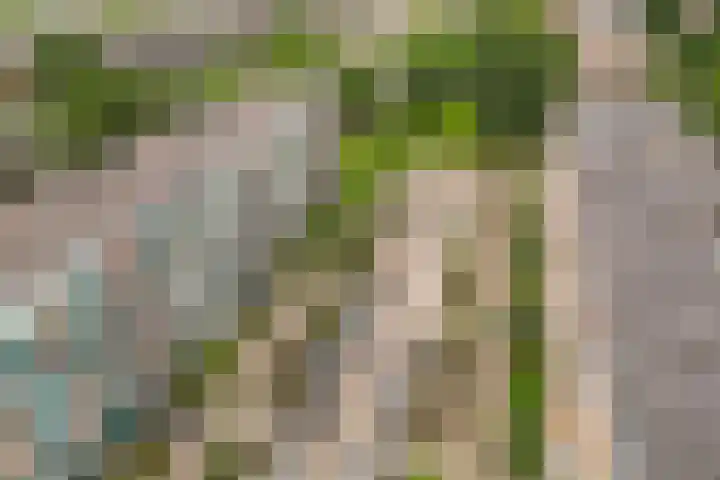 Jadelaan 52 Utrecht thumbnail 50