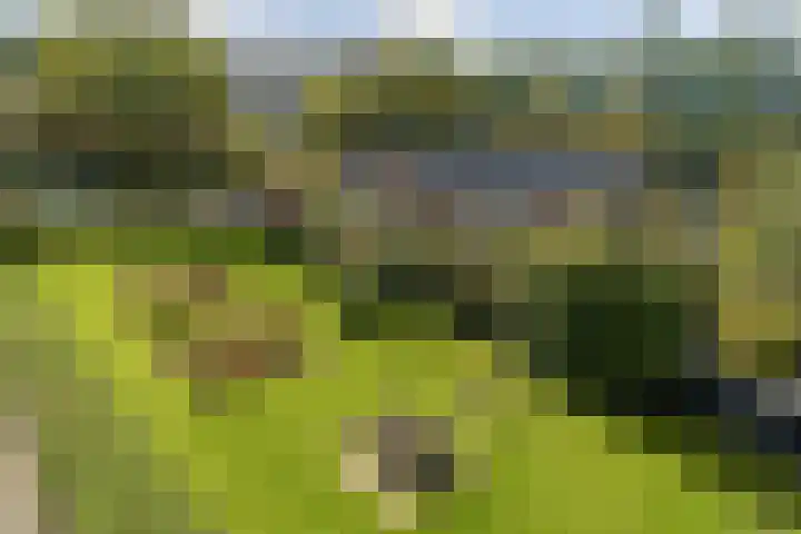 Jadelaan 57 Utrecht thumbnail 12
