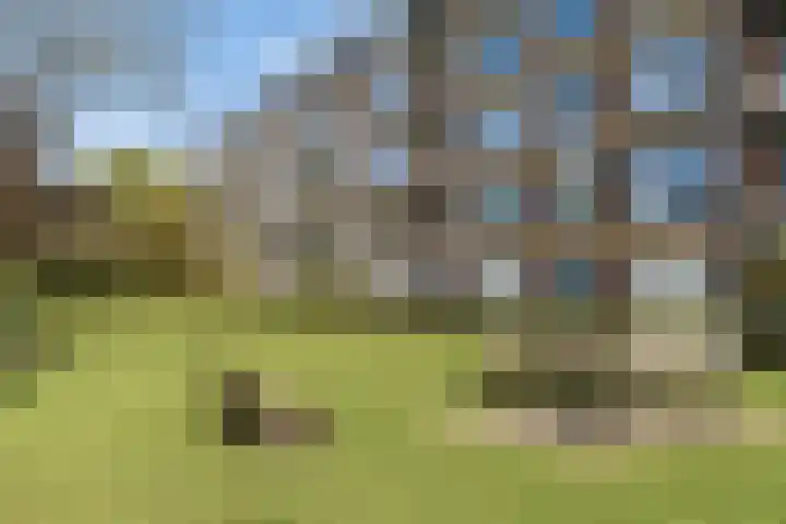 Jadelaan 57 Utrecht thumbnail 13