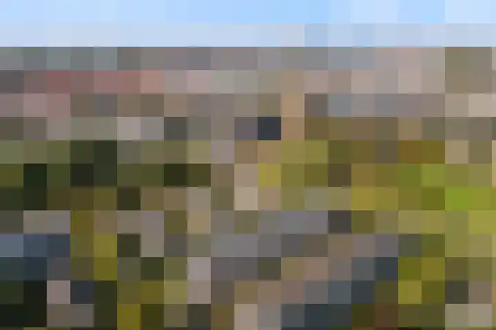Jadelaan 57 Utrecht thumbnail 17