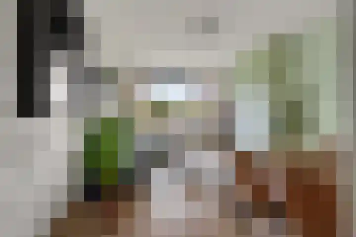 Jadelaan 57 Utrecht thumbnail 4