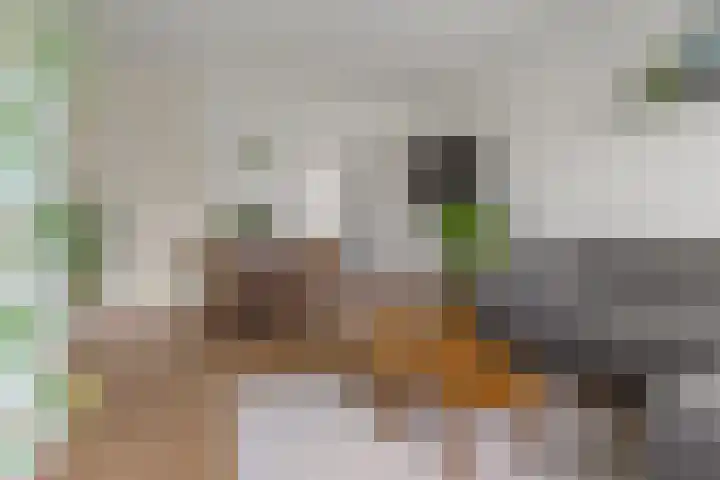 Jadelaan 57 Utrecht thumbnail 6