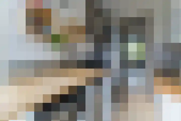 Jadelaan 7 Utrecht thumbnail 14