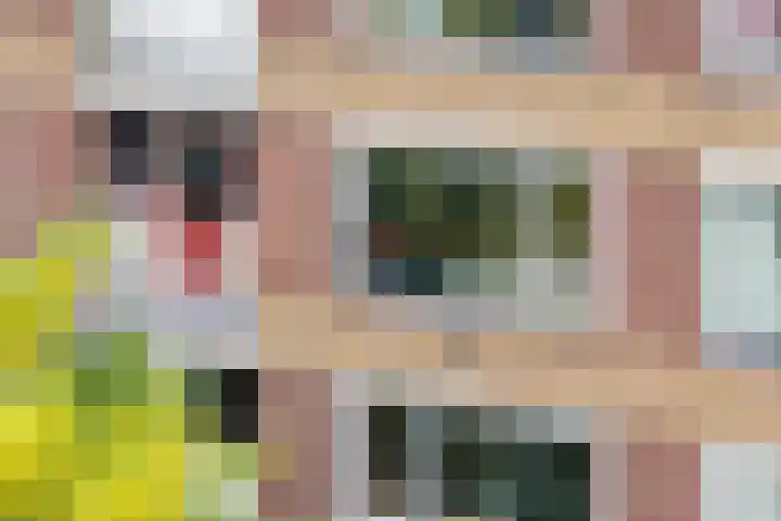 Jadelaan 7 Utrecht thumbnail 39