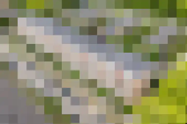 Jadelaan 7 Utrecht thumbnail 41