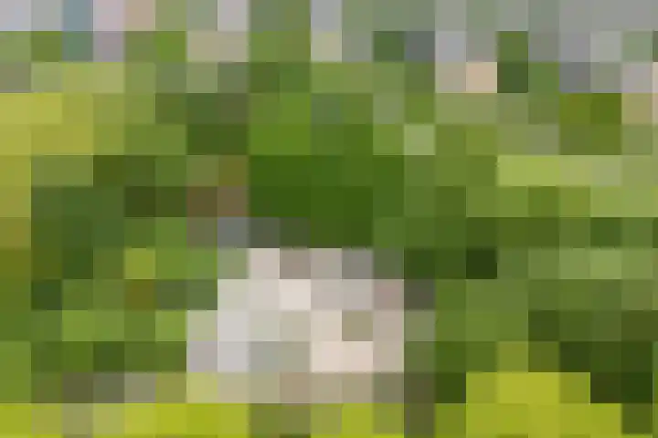 Jadelaan 7 Utrecht thumbnail 43