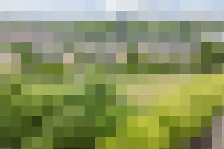 Jadelaan 7 Utrecht thumbnail 44