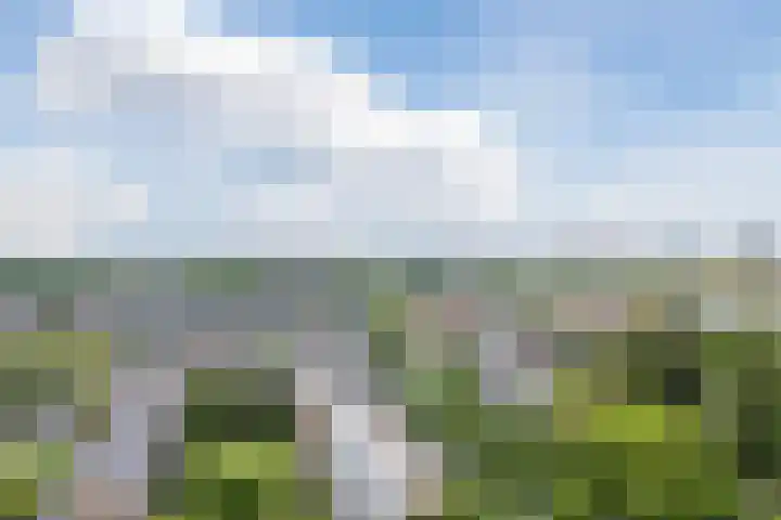 Jadelaan 7 Utrecht thumbnail 46