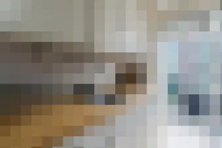 Jadelaan 7 Utrecht thumbnail 9