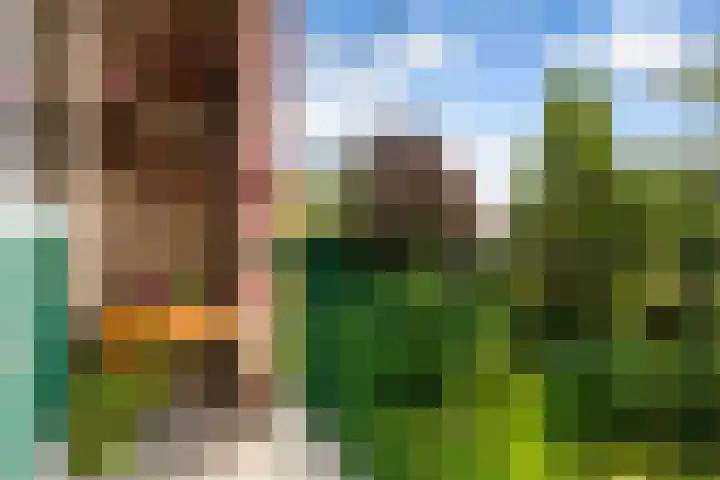 Jadelaan 72 Utrecht thumbnail 10