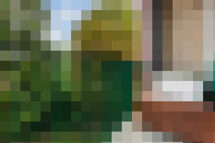 Jadelaan 72 Utrecht thumbnail 11