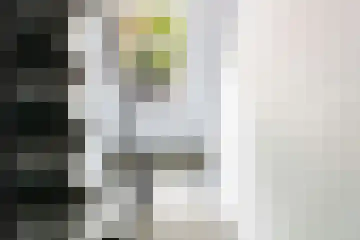 Jadelaan 72 Utrecht thumbnail 21