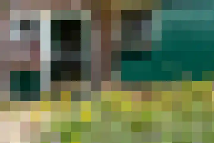 Jadelaan 72 Utrecht thumbnail 22