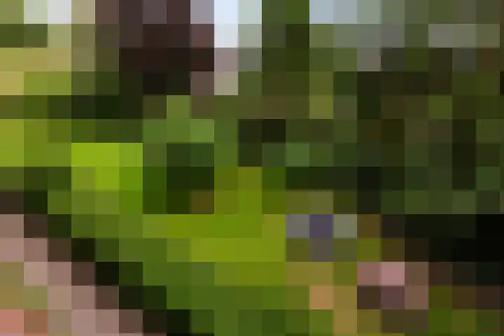 Jadelaan 72 Utrecht thumbnail 23