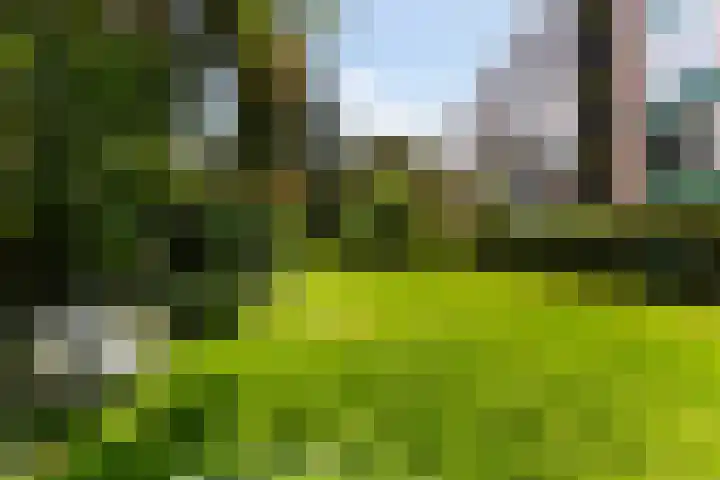 Jadelaan 72 Utrecht thumbnail 24