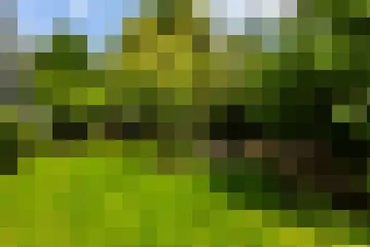 Jadelaan 72 Utrecht thumbnail 25