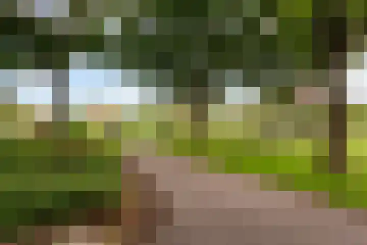 Jadelaan 72 Utrecht thumbnail 29