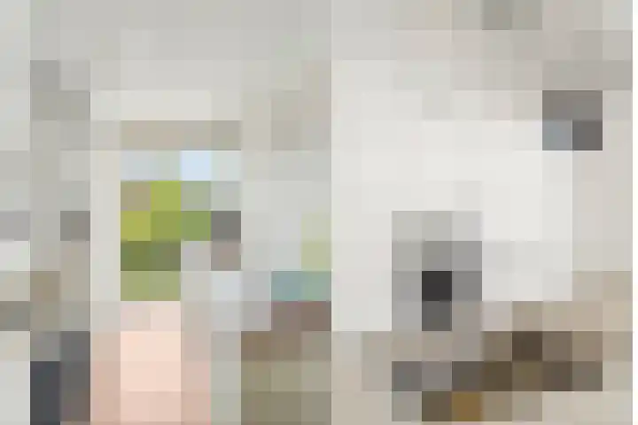Jadelaan 74 Utrecht thumbnail 10