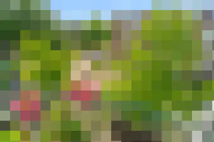 Jadelaan 74 Utrecht thumbnail 11