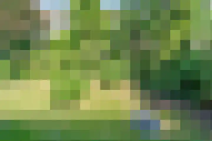 Jadelaan 74 Utrecht thumbnail 12
