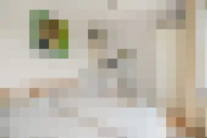 Jadelaan 74 Utrecht thumbnail 15