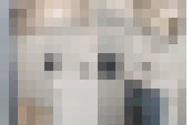 Jadelaan 74 Utrecht thumbnail 19