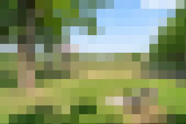 Jadelaan 74 Utrecht thumbnail 22