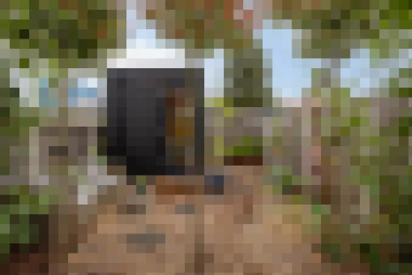 Jadeplantsoen 29 Almere thumbnail 31