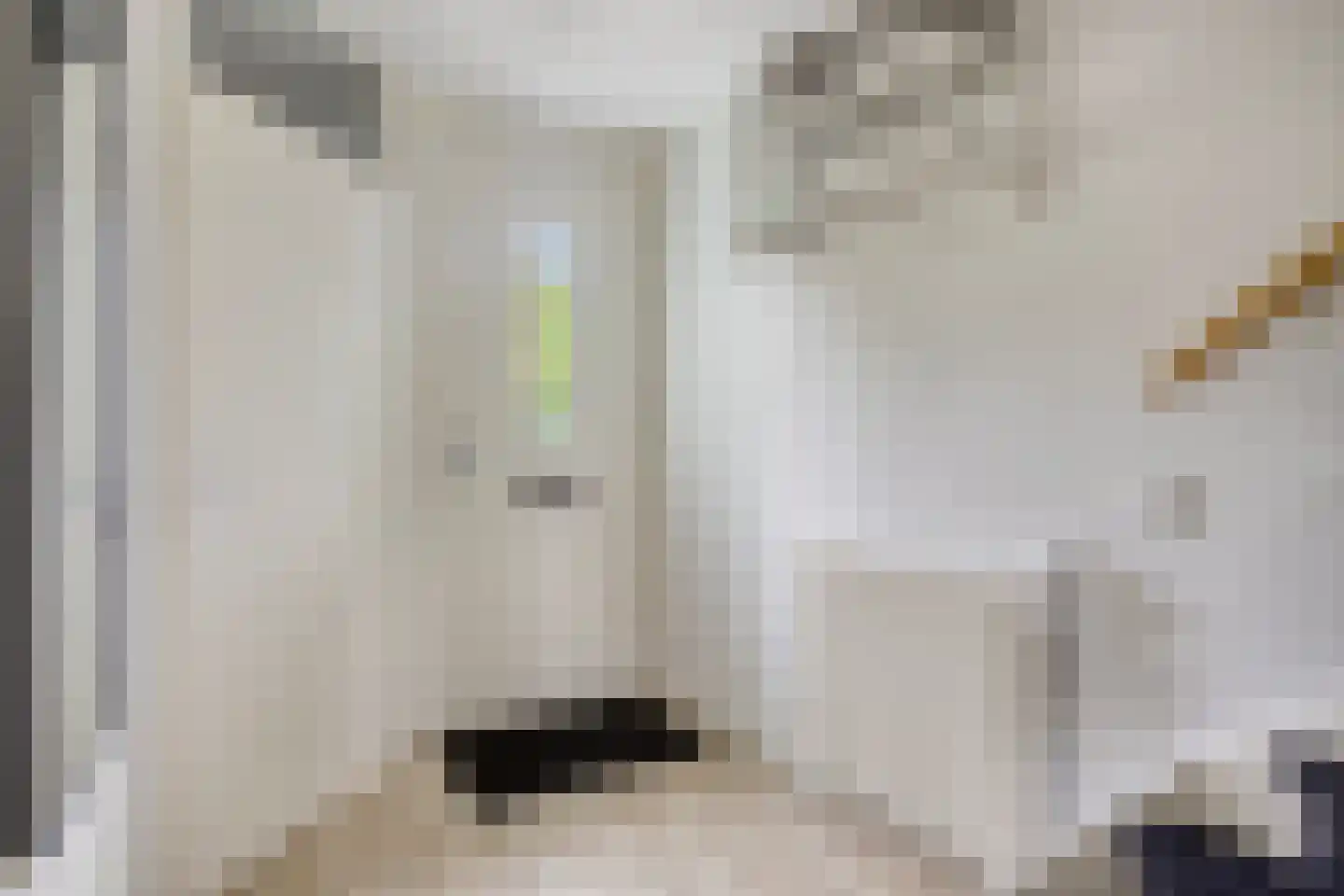 Jadeplantsoen 29 Almere thumbnail 7