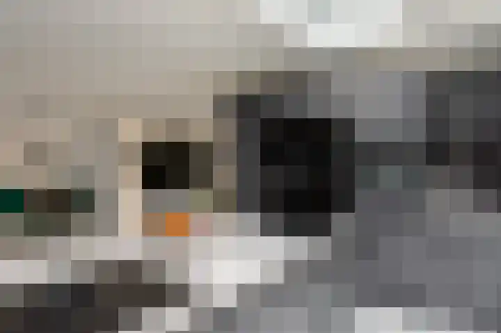 Jadeplantsoen 34 Almere thumbnail 19