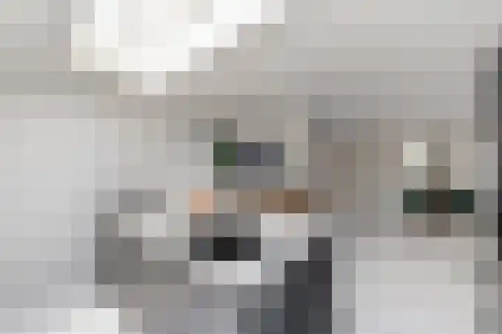 Jadeplantsoen 34 Almere thumbnail 20
