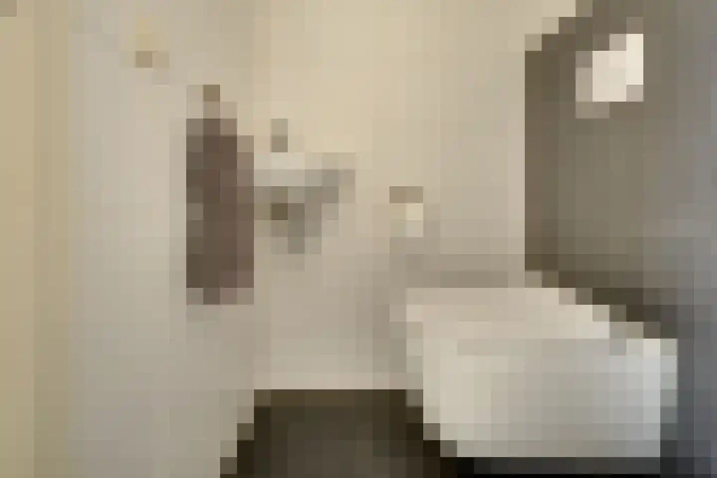 Jadestoep 6 Assen thumbnail 15