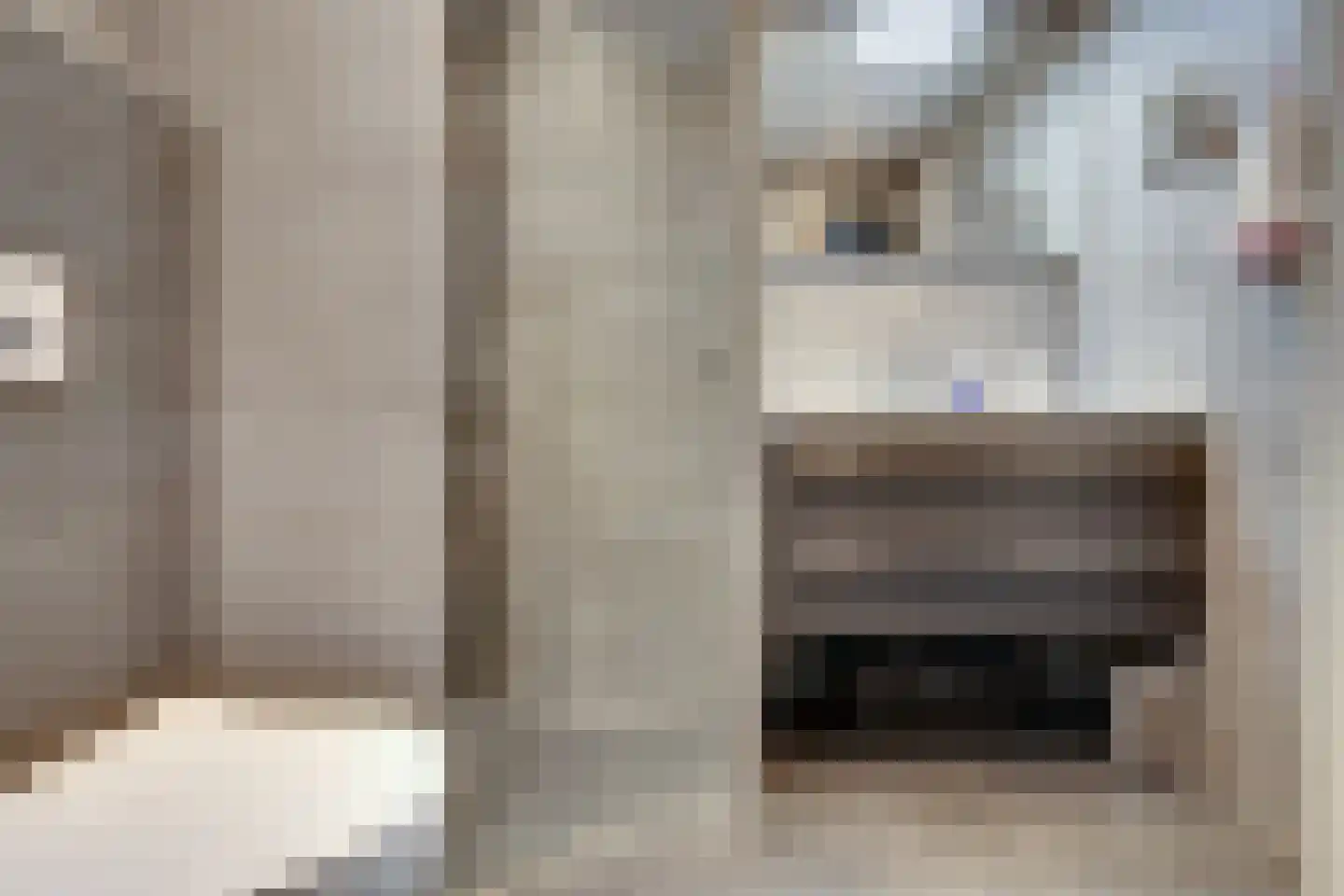Jadestoep 6 Assen thumbnail 20
