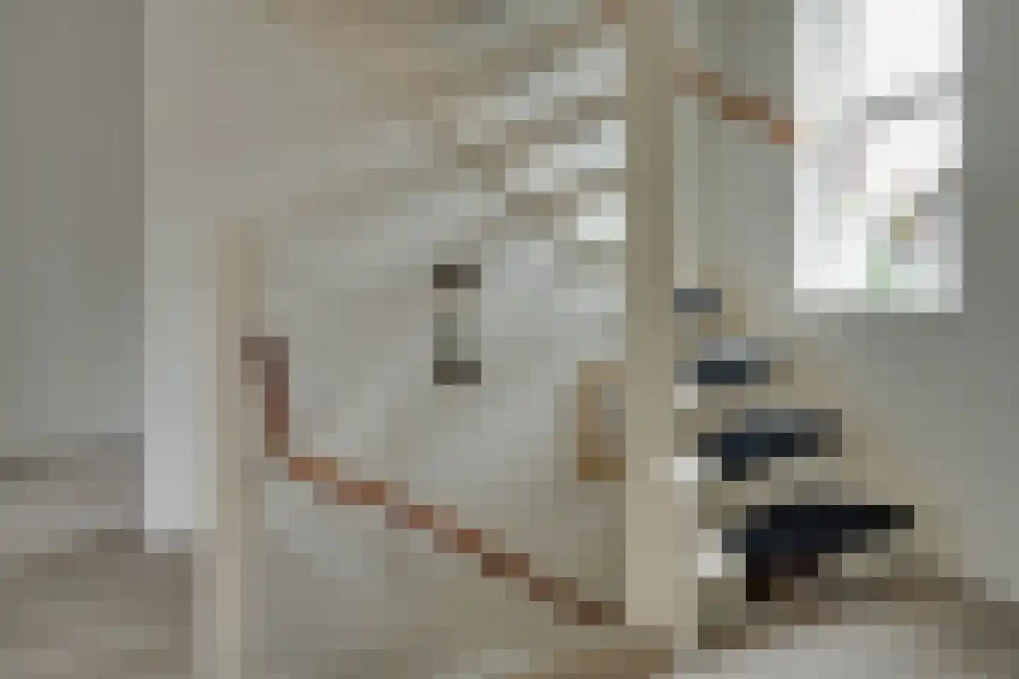 Jadestoep 6 Assen thumbnail 22