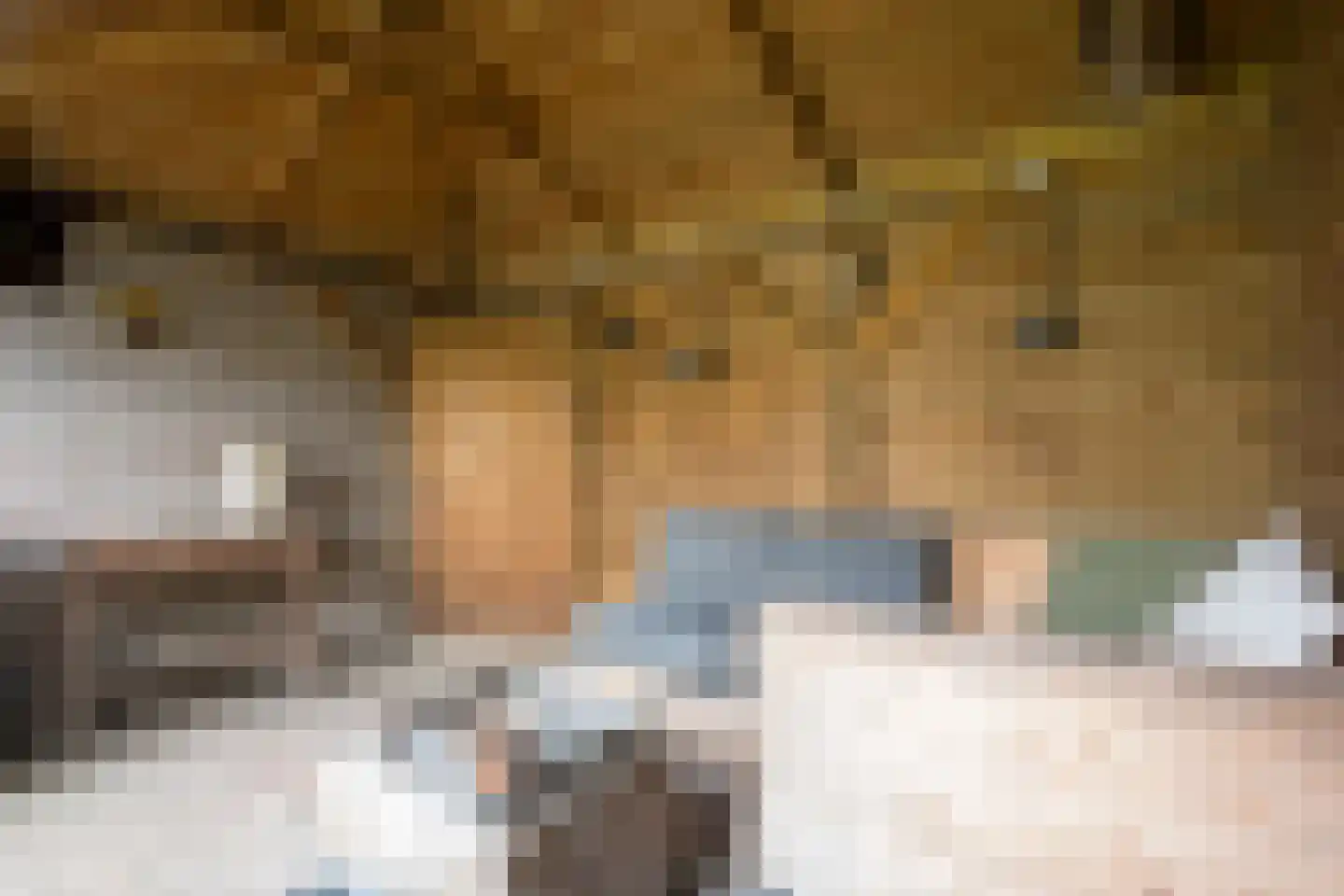 Jadestoep 6 Assen thumbnail 30