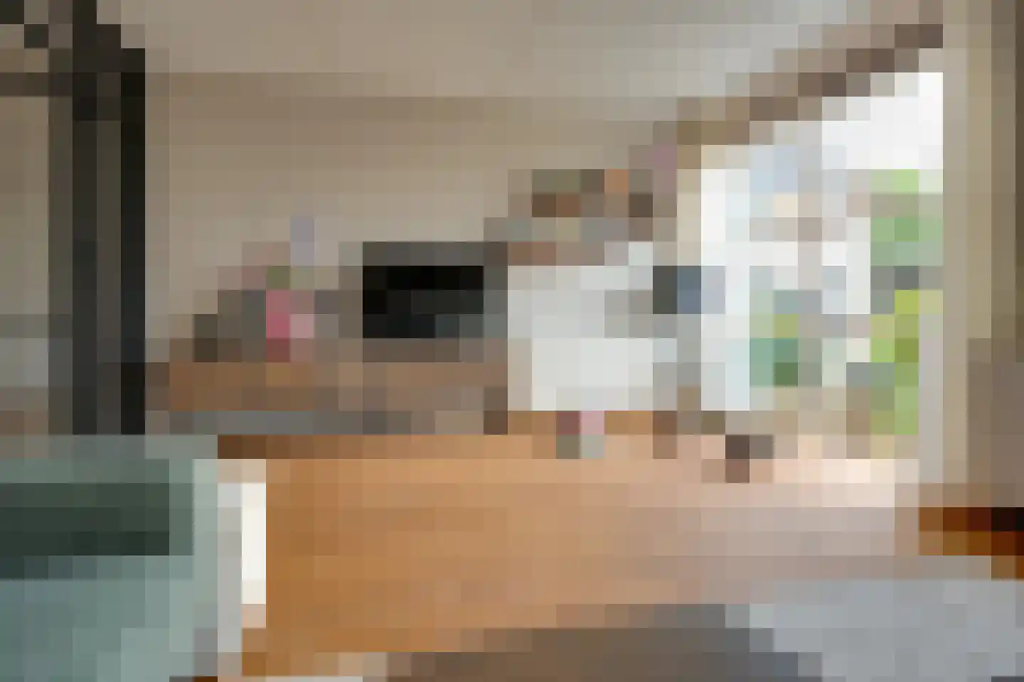 Jadestoep 6 Assen thumbnail 4