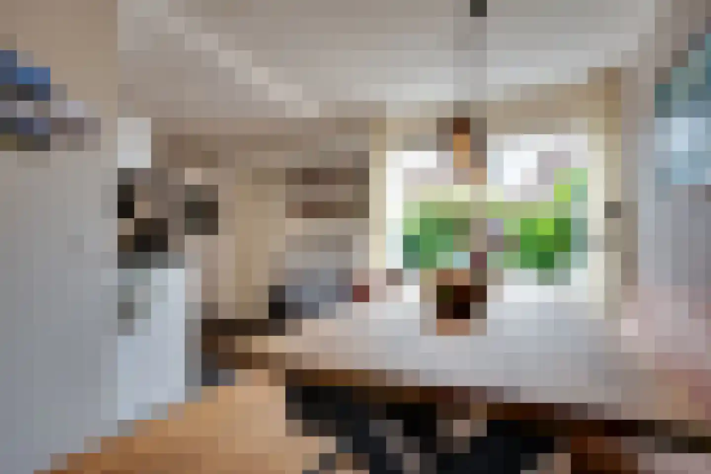 Jadestoep 6 Assen thumbnail 9