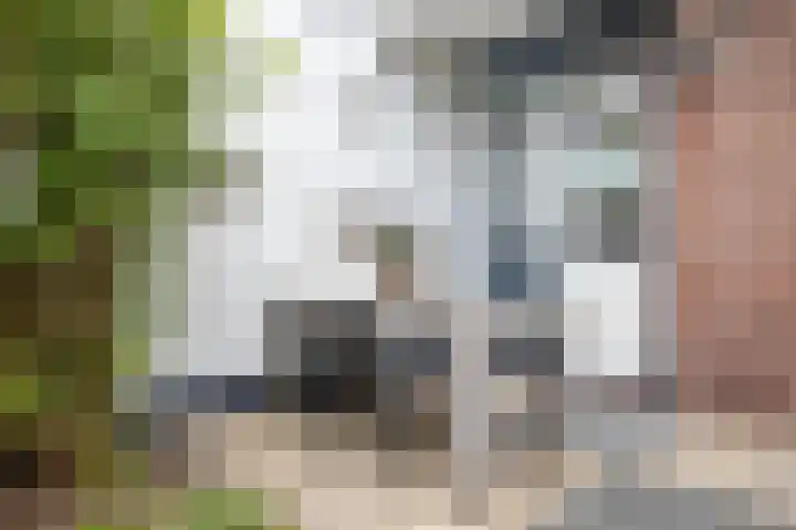 Jadestraat 12 Breda thumbnail 31