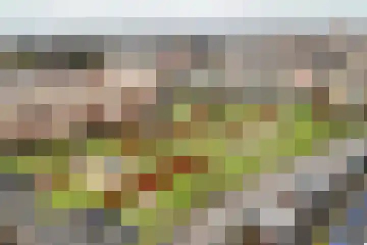 Jadestraat 129 C Ede thumbnail 4