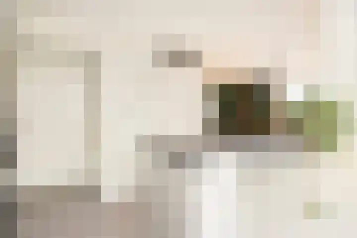 Jadestraat 129 C Ede thumbnail 9