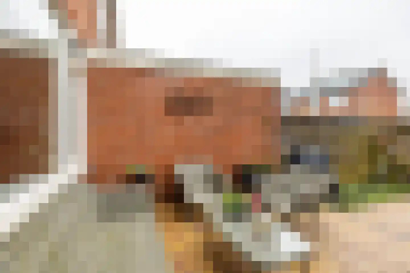 Jadestraat 133 Groningen thumbnail 15