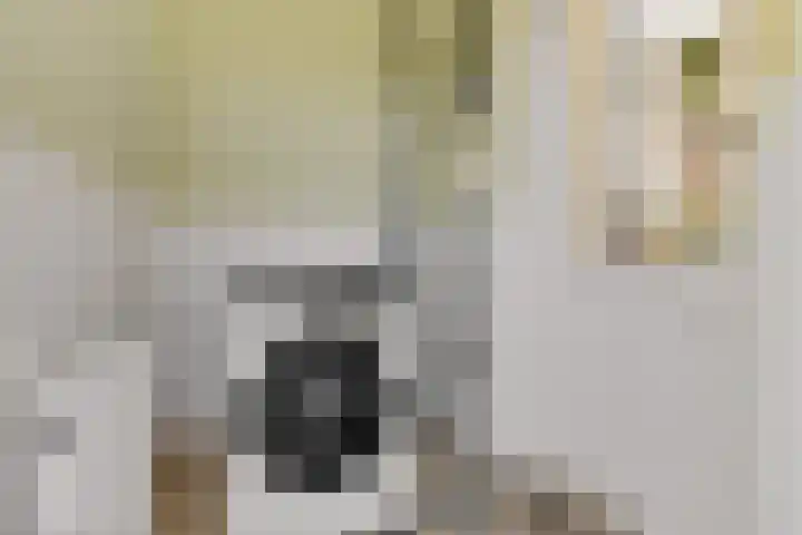 Jadestraat 17 Groningen thumbnail 21